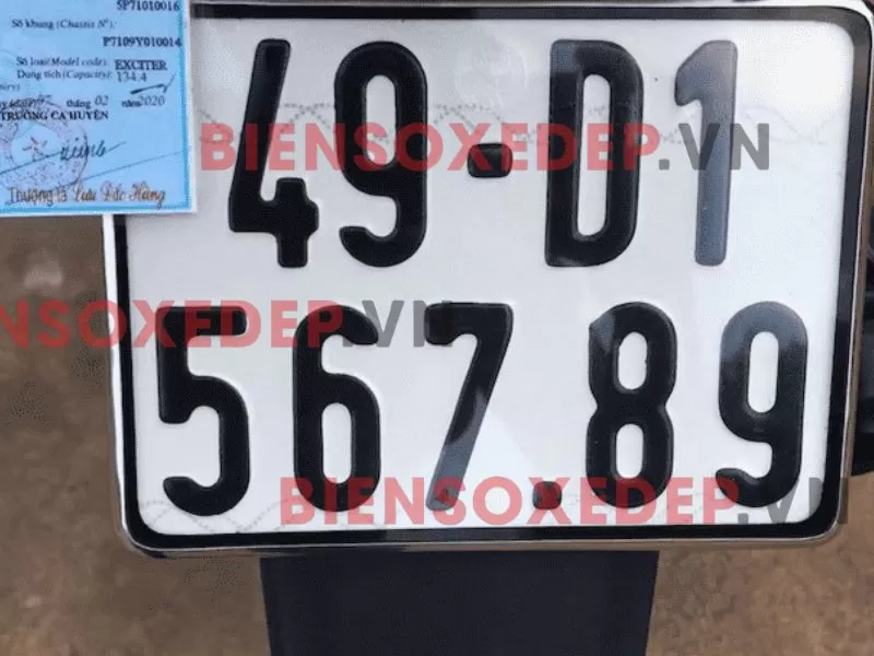 mua biển số xe đấu giá