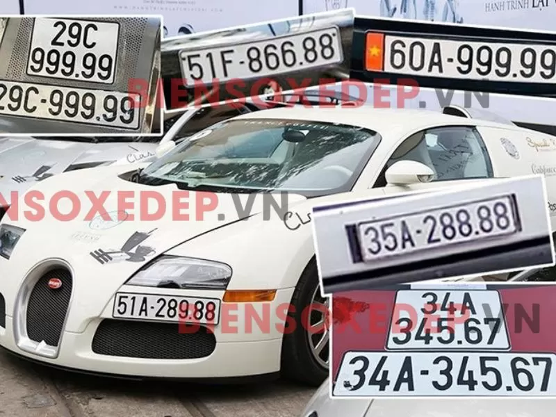 mua biển số xe đấu giá