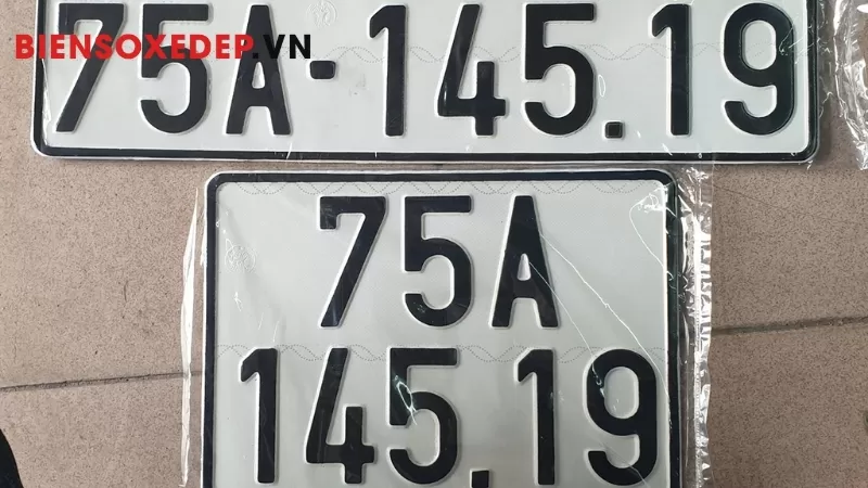 Biển số xe định danh
