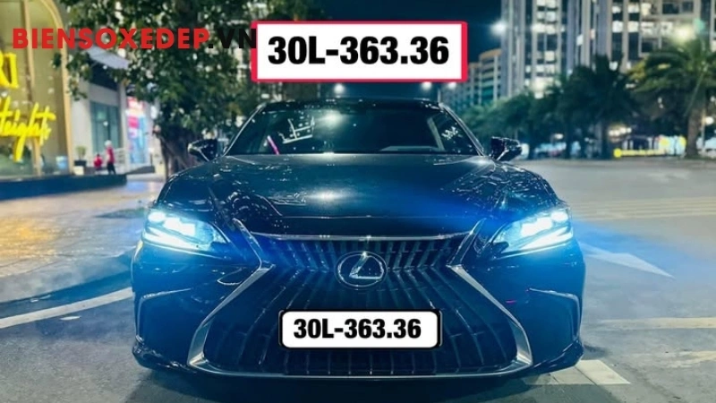 bói biển số hợp tuổi