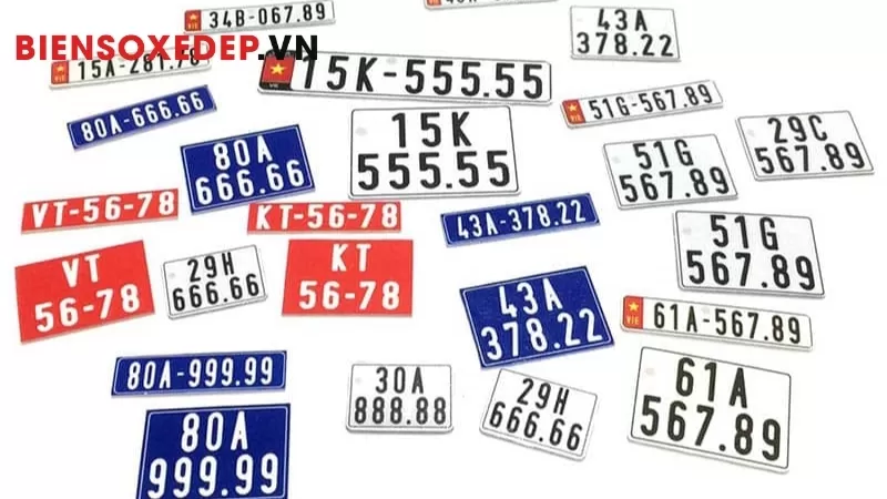 Công Ty Đấu Giá Biển Số - Top Đơn Vị Uy Tín Nhất