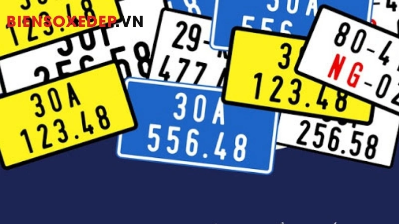 dịch biển số xe