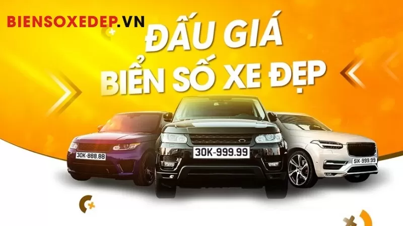 dịch vụ đấu gi&aacute; biển số xe đẹp