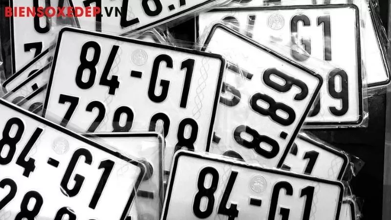 Phong Cách Biển Số Xe 2025 - Xu Hướng Thịnh Hành