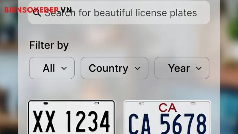 tối ưu h&oacute;a t&igrave;m kiếm biển số xe đẹp
