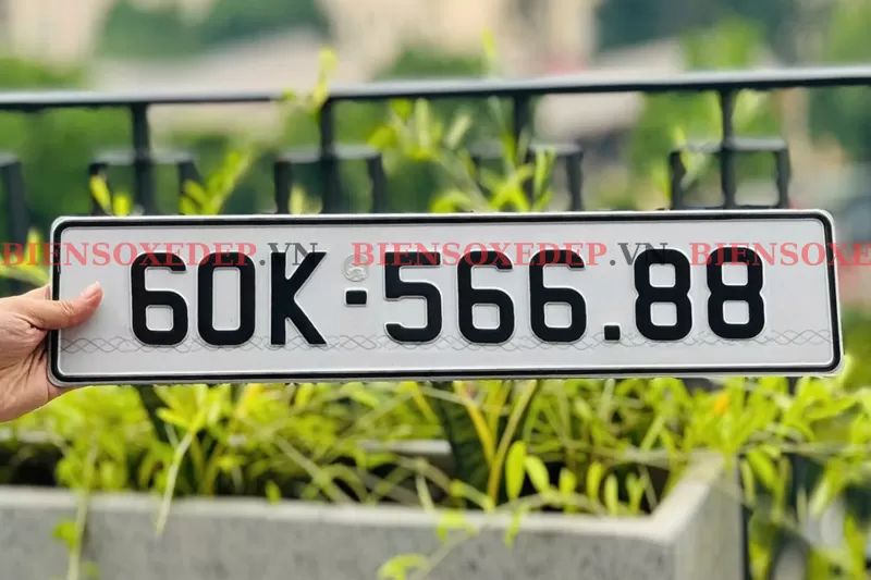 kinh nghiệm bấm biển ô tô