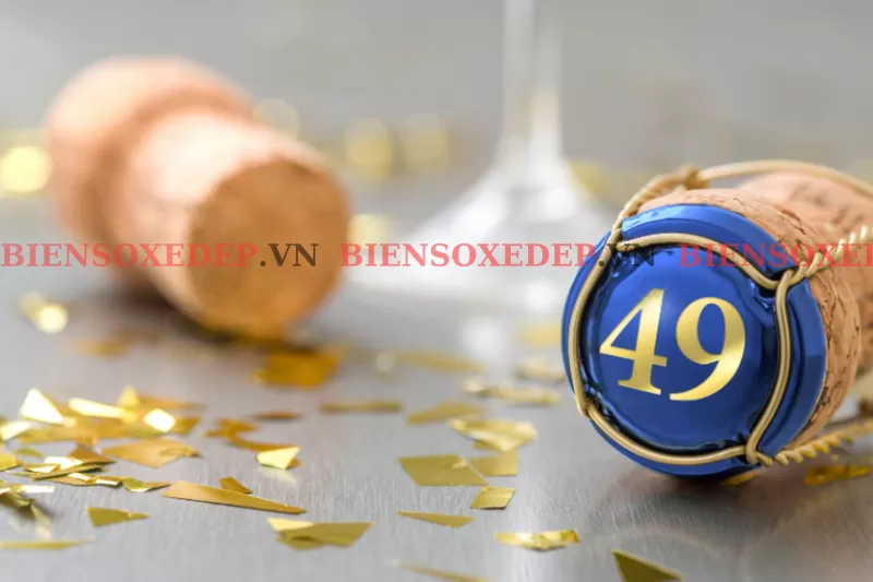 số xe 49 c&oacute; &yacute; nghĩa g&igrave;